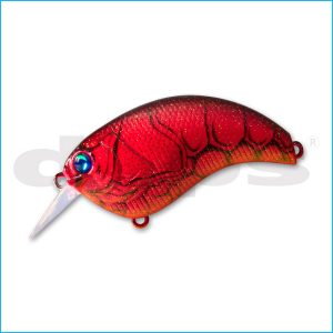 EVOKE 1.8 | 05-RED CRAW