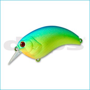 EVOKE 1.8 | 14-BIWAKO CHART