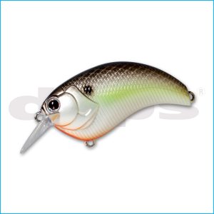 EVOKE 1.8 | 18-BLACK BACK SHAD
