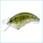 EVOKE 2.0 | 16-OLIVE CRAW