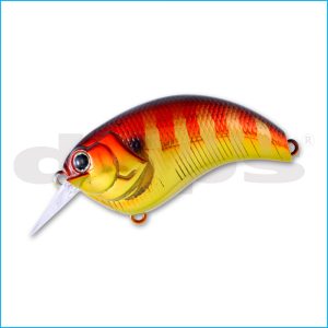 EVOKE 1.2 | 23-RED GILL