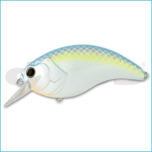 EVOKE 4.0 | 07-SEXY SHAD