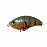 BLITZ | Z37-GREEN CRAW