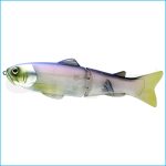 SLIDE SWIMMER 250 SS | 11-CLEAR WAKASAGI