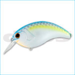 EVOKE 3.0 | 07-SEXY SHAD