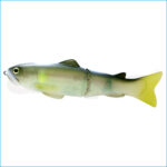 SLIDE SWIMMER 250 SS | 04-GHOST AYU