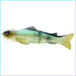 SLIDE SWIMMER 250 SS | 06-GHOST KETABASS
