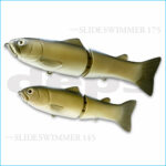 SLIDE SWIMMER 175 SS | 13-WILD CARP