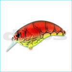 EVOKE 1.2 | 15-RED CRAW CHART BELLY
