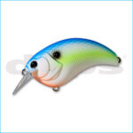 EVOKE 2.0 | 17-SEXY SHAD