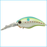 WILD HUNCH | 271-CHAMPION SHAD