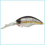 WILD HUNCH | 272-KING SHAD