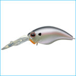 WILD HUNCH 8 FOOTER | 362-COLD SHAD