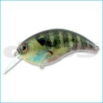 EVOKE 3.0 | 01-REAL BLUE GILL