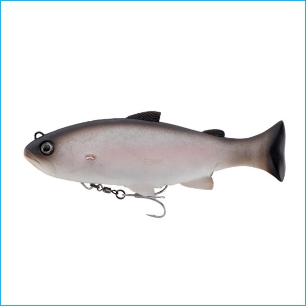 VIVIDUS | RAINBOW TROUT