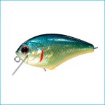 BLITZ SSR | H03-AMERICAN SUNFISH