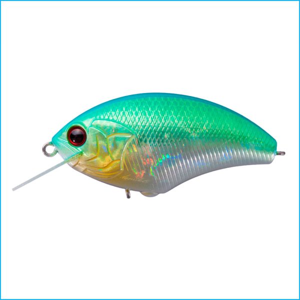 RATTLIN' BLITZ MAX | DM84-DM CITRUS SHAD