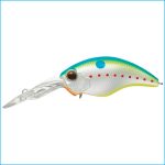 WILD HUNCH 8 FOOTER | 271-CHAMPION SHAD