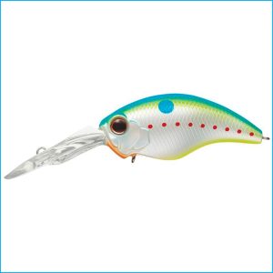 WILD HUNCH 8 FOOTER | 271-CHAMPION SHAD