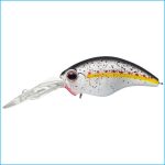 WILD HUNCH 8 FOOTER | 272-KING SHAD
