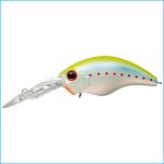 WILD HUNCH 8 FOOTER | 278-MORIZO CHART