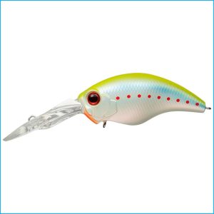 WILD HUNCH 8 FOOTER | 278-MORIZO CHART