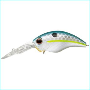 WILD HUNCH 8 FOOTER | 289-QUEEN SHAD