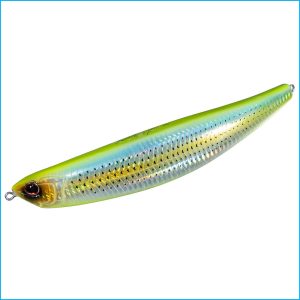 BENT MINNOW 181F-SW | PTS86-ICRU DOUBLE CHART GIZZARD SHAD