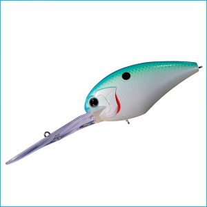 BLITZ MAGNUM EX-DR | C84-CITRUS SHD