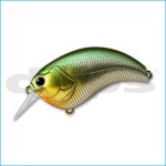 EVOKE 1.2 | 01-KETA BASS