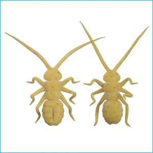 ORIKANEMUSHI II | OM011-HONEY BEE