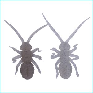 ORIKANEMUSHI II | OM028-RIVER SHRIMP