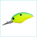 BLITZ DR | P07-CHART BLUE BACK