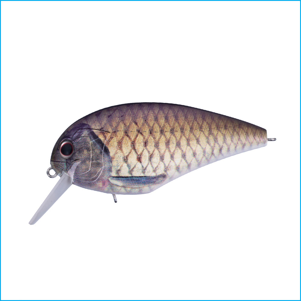 BLITZ MAGNUM SR | RP86-MAT REAL FUNA