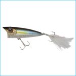 LOUDER 70 | P23-TASTY SHAD
