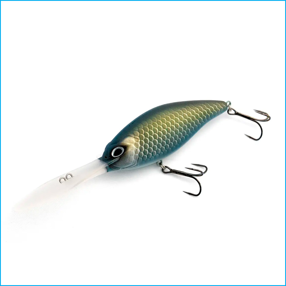 POLICE | GREEN CRUCIAN CARP