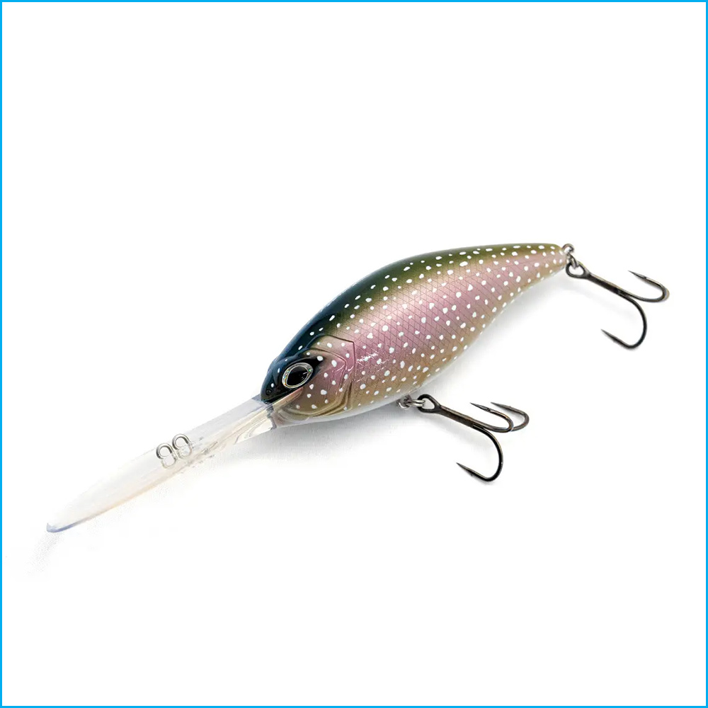 POLICE | LAKE TROUT