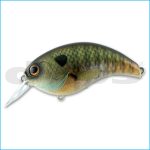 EVOKE 3.0 | 04-SCAM PERCH
