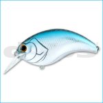 EVOKE 3.0 | 08-CHROME SHAD