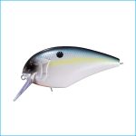 BLITZ MAGNUM SR | L21-SEXY SHAD