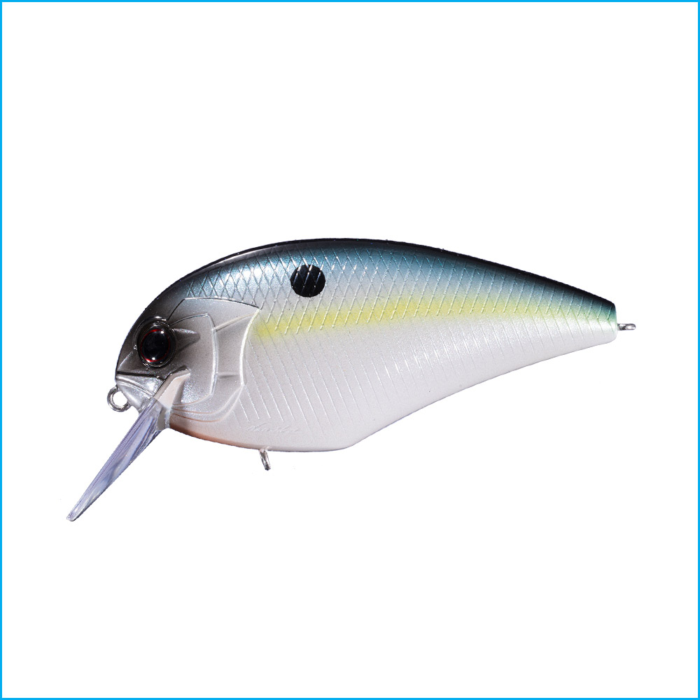 BLITZ MAGNUM SR | L21-SEXY SHAD