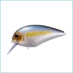 BLITZ MAGNUM SR | P23-TASTY SHAD