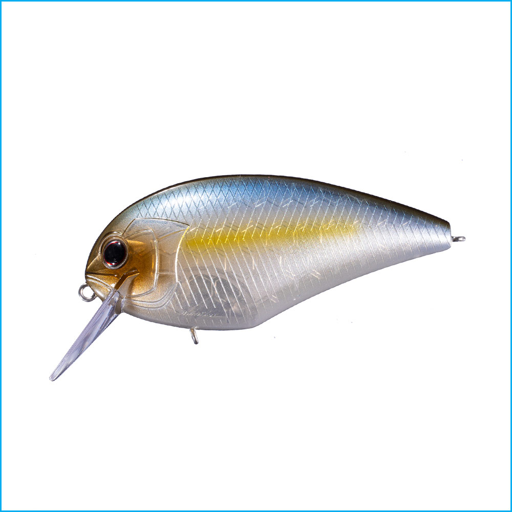 BLITZ MAGNUM SR | P23-TASTY SHAD