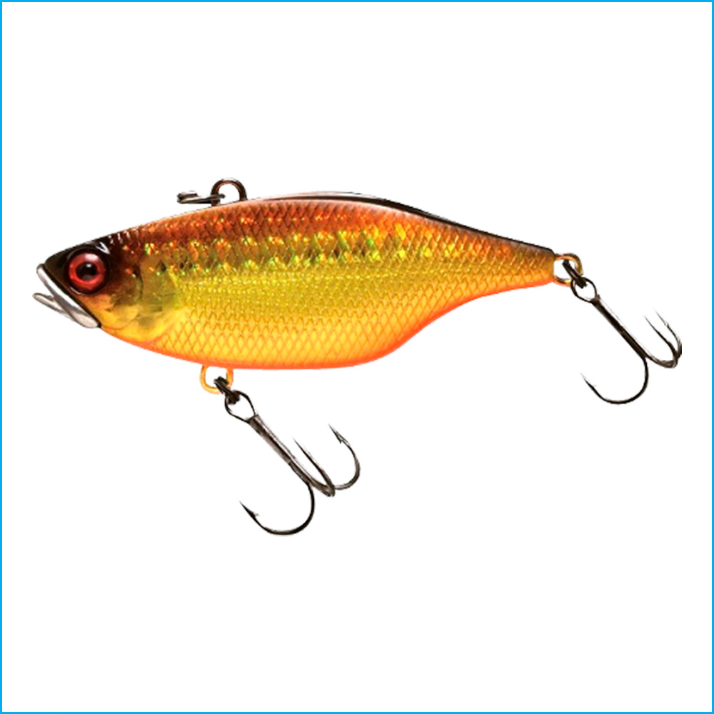 TN50 FULL TUNGSTEN | DOUBLE CLUTCH GOLD & BLACK